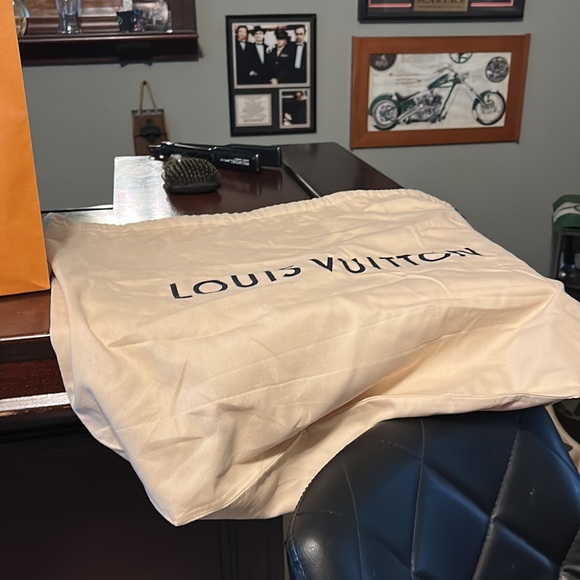Louie Vuitton bag and dust bag - Picture 5 of 5